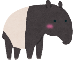 55