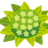 68