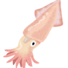 81